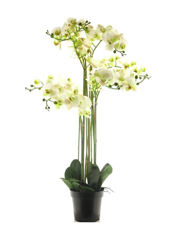 Umělá orchidej, Phalaenopsis, 8 výhonů, bílá, 110 cm skladem | ZAZUMi.cz