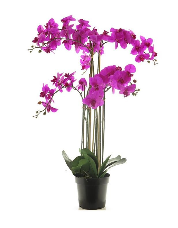 Umělá orchidej, Phalaenopsis, 8 výhonů, fialová, skladem | ZAZUMi.cz