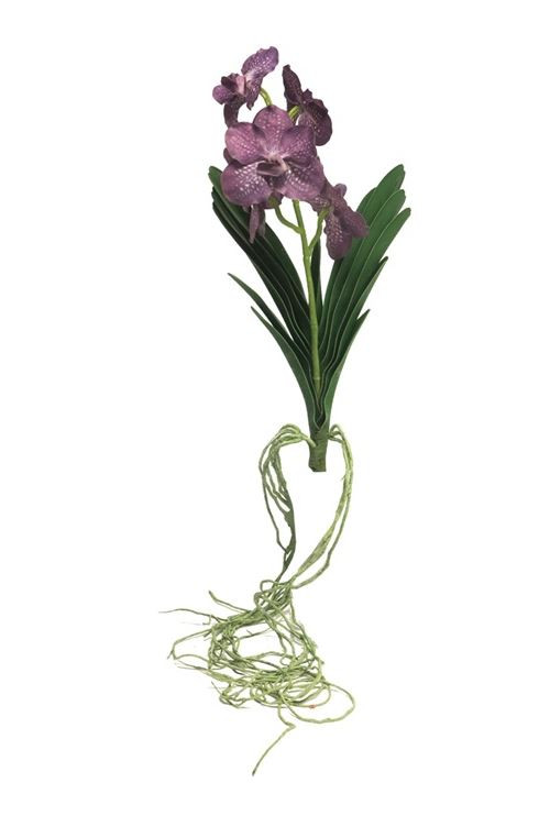 Umělá orchidej, Vanda, s kořeny, fialová, 69 cm skladem | ZAZUMi.cz